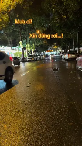 Mưa ơi xin đừng rơi…#xuhuongtiktok 