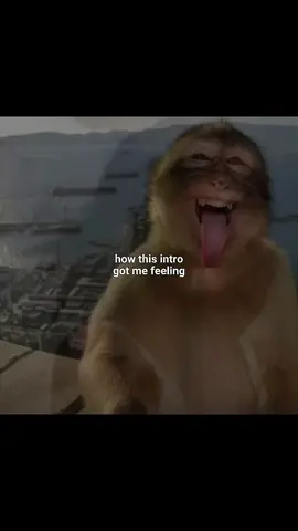 there’s no day i don’t make drafts of edit about them 😭 #queendom #queendomtheseries #pamarhoung #arhoungpam #wetv 