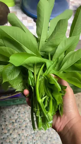 Sambal macang, tumis pucuk ubi gajah #masakkampungsaja #fypシ゚viral #fyp 