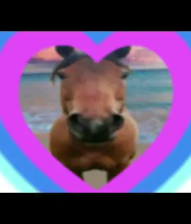 The third hashtag is funny #fyp #viral #funny #horse #edit 