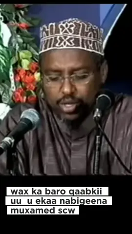 dadka riyada nabigeena muxamed scw ku arkay nasiib badnaa🥹 #somalitiktok #viral #islamic_video #nabimuhammad #rasulullah 