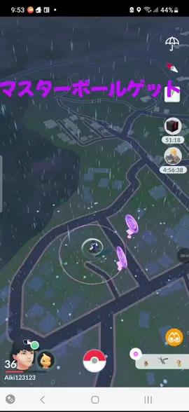 マスターボールゲット！