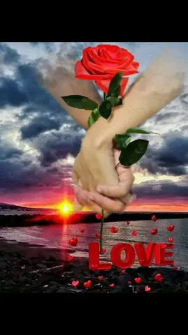 মন কেনো শুধু তোমাকে চায় #সবাই_একটু_সাপোর্ট_করবেন_প্লিজ 