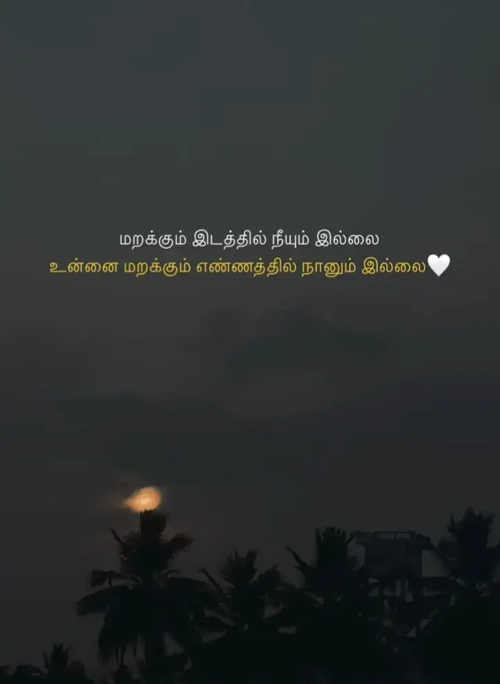 #creatorsearchinsights 