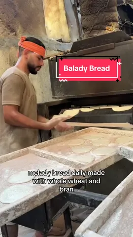 Balady bread is an integral part of the Egyptian diet stretching back for centuries. This is a little glimpse into what goes on every day to make millions of loaves of the countries staple. ##bakery##bread##egypt##cairo##egyptianfood