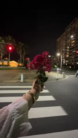 ⚜️🫴🗼🍂✨🍒🫠🎻⚜️