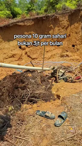 wkwkwwk canda kali yaaa🤙😝🤪💵💵#anaktambangmas💪 #tambangemas #bossmuda #4you #anakpenyedotan 