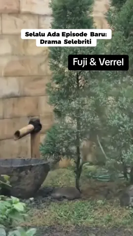 Selalu ada Episode Baru: Drama selebriti #verfu #fuji #fujian #verrelbramasta #viral 