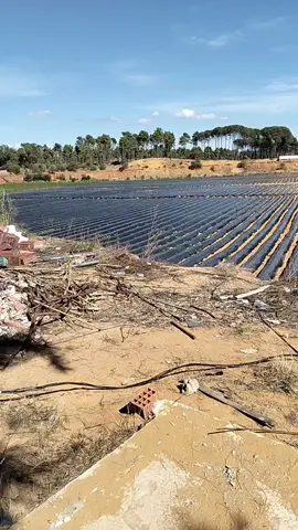 #الشعب_الصيني_ماله_حل😂😂 #الفلاح #