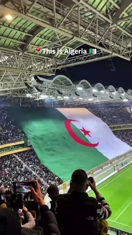 Habib came to Algeria 🇩🇿  #thisisalgeria🇩🇿 #Algeria #algerie #الجزائر #musivworld 