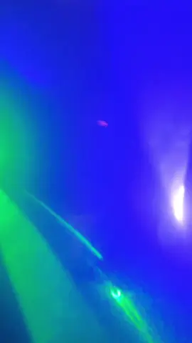 #fypage #tiktok #troll #longlivescoomxjeff                        y’all kno👀 ?