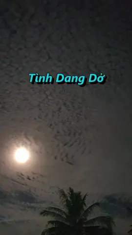 tinhdangdo#tamtrang #lặng_💔         khi yêu thường quên đi bản thân!        nước mắt cũng chẳng mang em         về lại . dang dở !