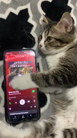 😾: KALO HIDUPNYA SEPI MUSIKNYA HARUS BERISIK🤘🏻 #seizetheday #avengedsevenfold #cityofevil 