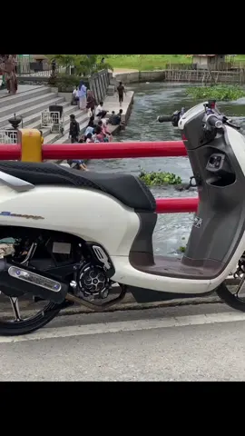 Udah bisa nih foto live lama🤩#fyp #fotolive #scoopyr17 