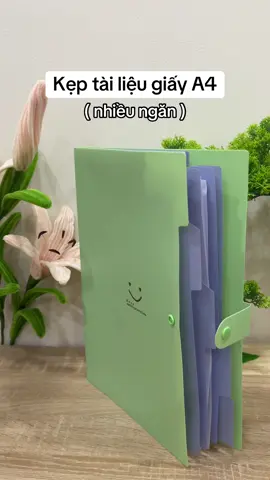 Hời quá săn liền mấy ní ơi 🥰🥰#xuhuong #viral #dungcuhoctap #dodunghoctap #tuidungtailieu 