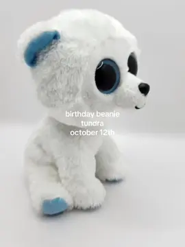 #birthdaybeanie #beanieboos #tundra #october12th #viral 