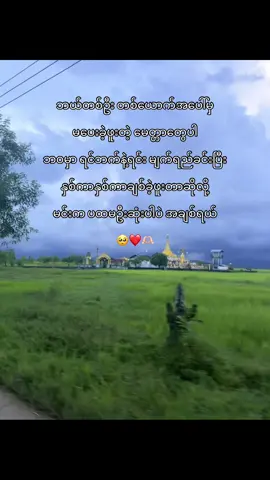 🥺🫶🏻💞#ထားဝယ်သူလေးပါနော်🇲🇲 #fyp #fypage #မင်းတို့idolဖစ်ချင်လို့🤭💖 #myanmartiktok🇲🇲🇲🇲 