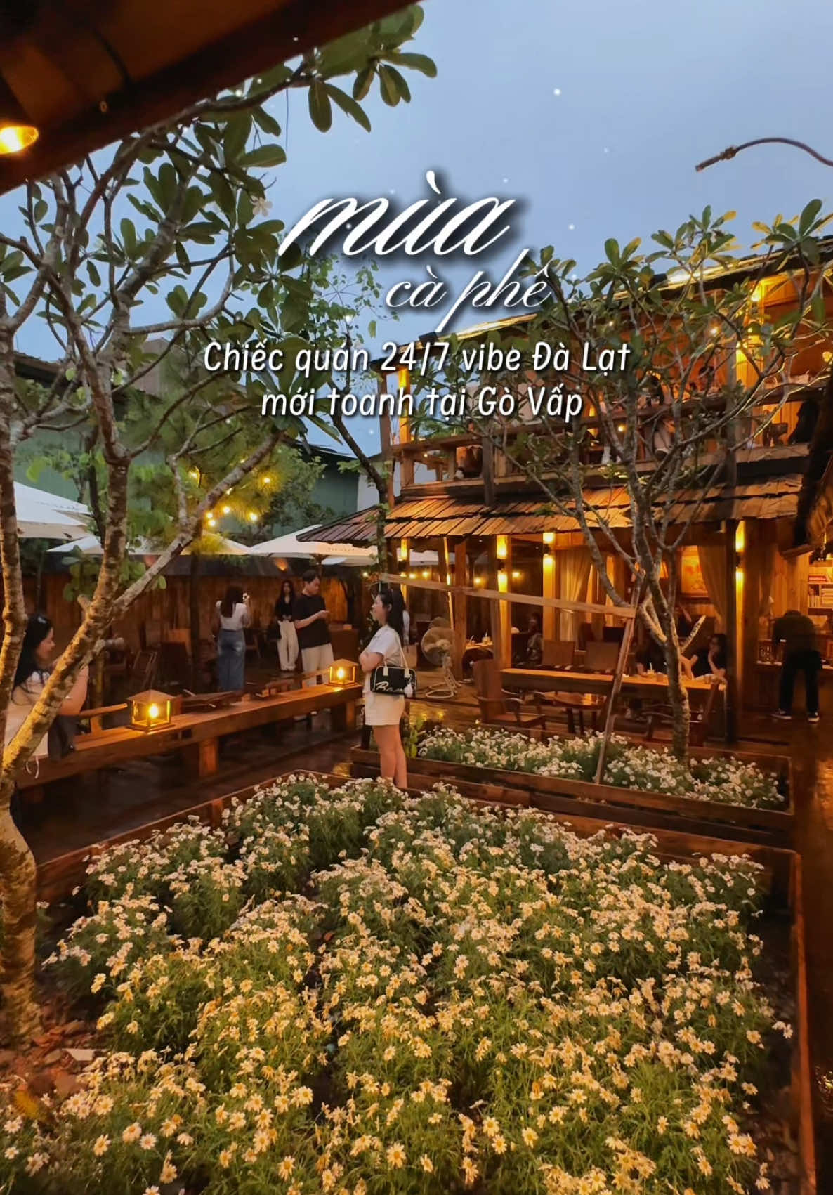 Không ngờ Gò Vấp có quán cà phê mới toanh như Đà Lạt thu nhỏ ?! 🌼🍃 #dathaydireview #reviewcafe #cafesaigon #muacaphe #govap 