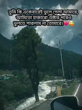 #তুমি কি একেবারেই ভুলে গেলা আমারে, আমিতো হাজারো চেষ্টার পরেও ভুলতে পারলাম না তোমারে।💔😅 #foryoupage 