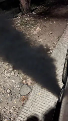 YUPZZZ FORTUNER GR 2.4 SMOKE + POP #fyp #fypage #fyppppppppppppppppppppppp #fypdong #lewatberandamu #lewatberandafyp #fypシ゚viral🖤tiktok #dieselsidraptimur #salawesiselatan😍 #dieselpower #remap #cumicumidarat💨💨 #cumicumidarat🦑 #cumicumidaratindonesia 