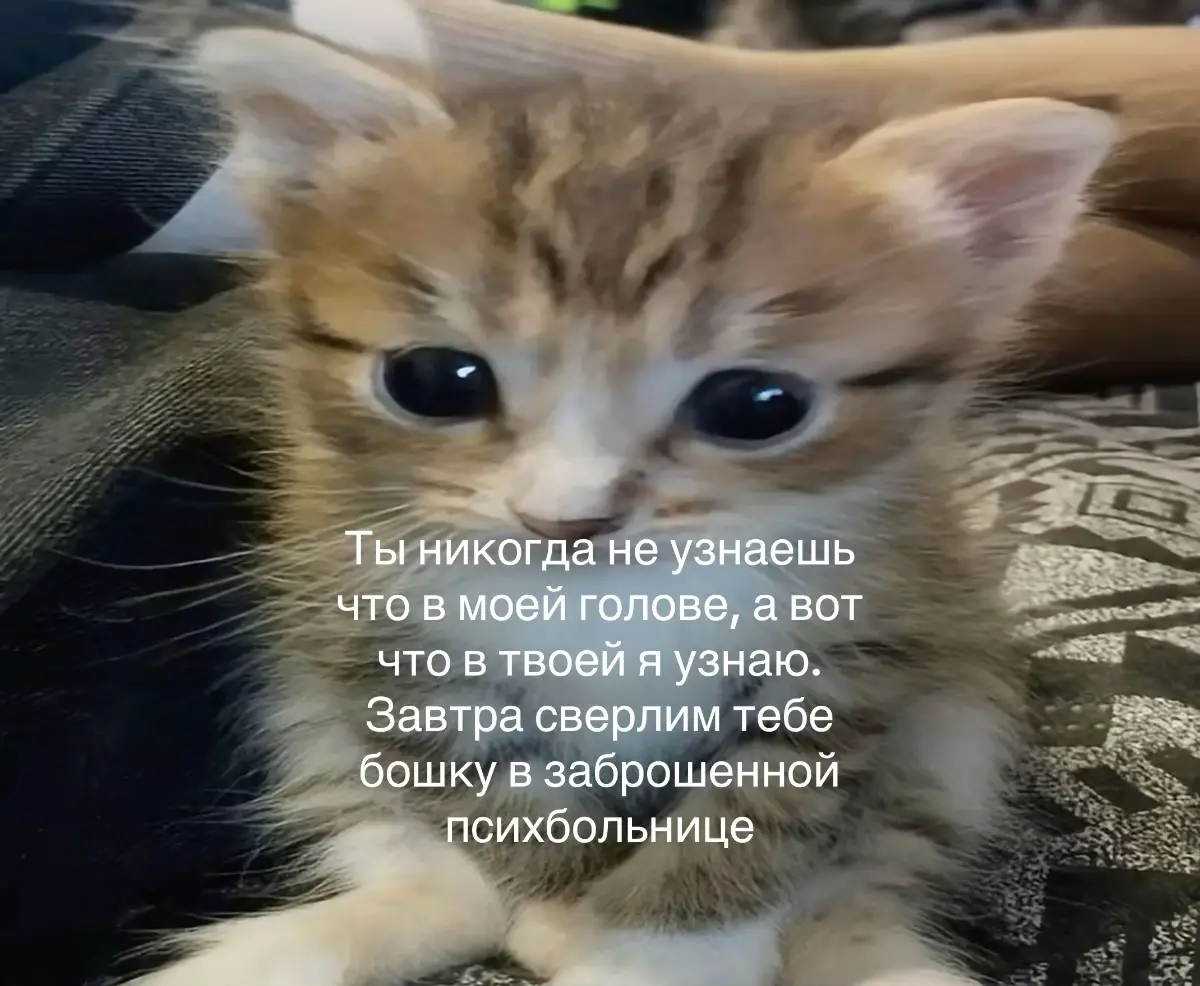 Ты никогда не узнаешь, что в моей голове. Это мой лабиринт, построенный из хаоса и тишины. Там коридоры, которые ведут в никуда, двери без ключей, сотни голосов, спорящих друг с другом. Ты можешь смотреть на меня, задавать вопросы, пытаться заглянуть в мои глаза — но ты всё равно не поймёшь. Потому что моё сознание — это крепость, в которую нет входа. А вот что в твоей голове — я узнаю. Ты слишком прямолинеен, слишком прост, слишком предсказуем. Каждая твоя эмоция написана на лице, каждая мысль выдаётся жестом, взглядом, неловкой паузой. Ты думаешь, что скрываешься, но на самом деле ты прозрачный. И именно поэтому завтра всё станет ясно. Завтра — в заброшенной психбольнице. Там, где стены ещё хранят шёпот тех, кого считали безумными. Где облупленная краска напоминает кожу, содранную с чьих-то рук. Где разбитые стёкла блестят, как глаза, в которых больше нет жизни. Там пахнет плесенью, ржавчиной и чем-то ещё… чем-то, что всегда остаётся после людей, которых никто не забрал. Ты думаешь, это шутка? Нет. Мы зайдём в тот самый коридор, где лампы давно не горят, а сквозняк гоняет клочья бумаги по полу. И там, в одной из палат, на ржавой кушетке, ты сядешь. Я поставлю дрель на стол — и тишина станет ещё тяжелее. Ты будешь пытаться угадать, что я сделаю дальше. Но это и есть самое интересное: твоё воображение всегда страшнее реальности. Ты будешь представлять, как сверло медленно входит в кость, как ломается то, что должно быть неприкосновенным. И именно в этот момент я увижу всё. Потому что твой страх вытащит наружу каждую твою тайну. Ирония в том, что не нужно даже касаться тебя, чтобы вскрыть твою голову. Достаточно просто довести тебя до предела. Заброшенная психбольница сделает за меня половину работы: её стены умеют давить, её тьма умеет говорить, её эхо умеет превращать тишину в крик. Ты никогда не узнаешь, что творится у меня в голове. Но я узнаю, что творится у тебя. Завтра. В месте, где даже стены сошли с ума.#щитпост #актив #грусть💔 #я#я#философия  