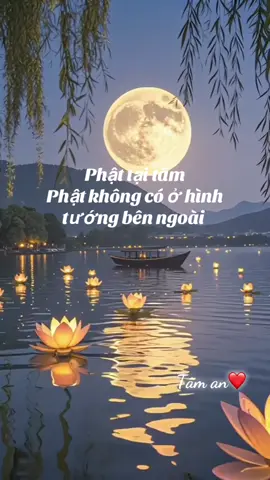 Nguyện người an tâm ❤️