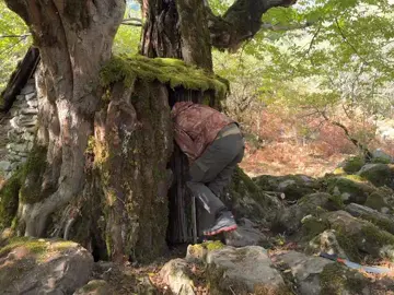 When I built a shelter in the woods #camping #survival #outdoor #travel #amazing 
