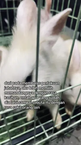 #tiktok #4u #fypシ゚viral #fouryoupage #fyp 