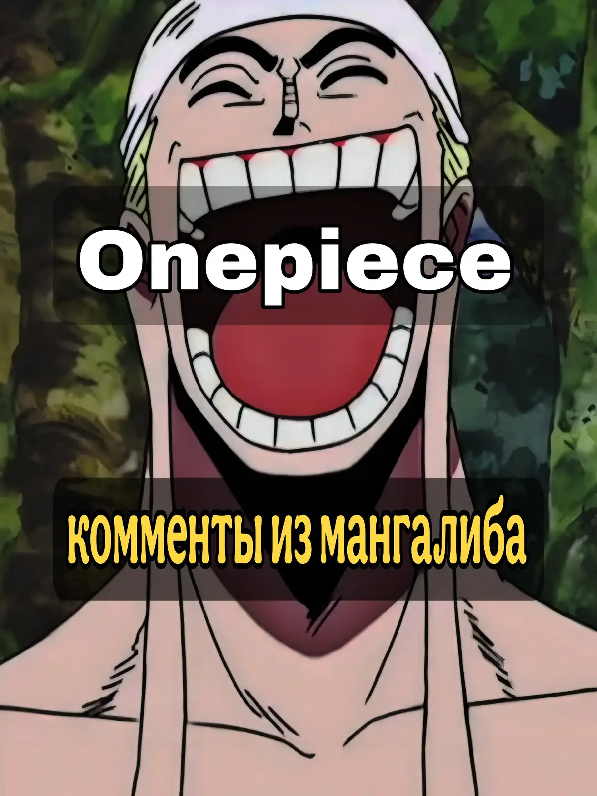 #onepiece 
