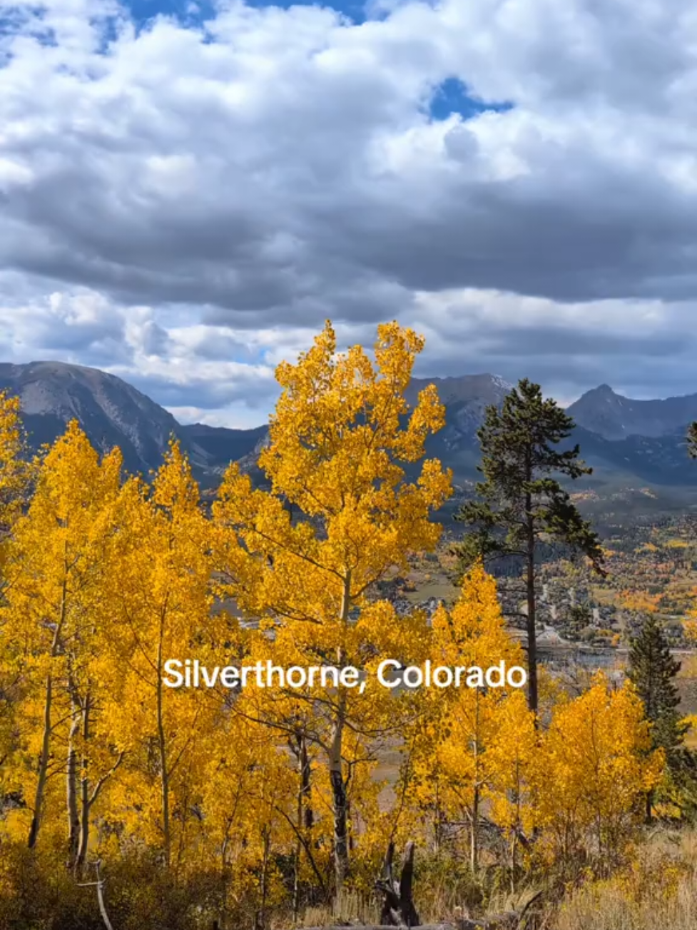 fall is peaking in Colorado this weekend! 🍂🍁🌾 remember to leave no trace, especially as the trails are extra crowded right now 🥾 #colorado #Hiking #fallleaves #silverthorne #leafpeeping 