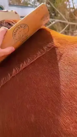 parte 2: mi esposo me llamo inútil y rompió conmigo justo momentos antes de...#part #paratiiiiiiiiiiiiiiiiiiiiiiiiiiiiiii #reddit #redditstories #HistoryTime 