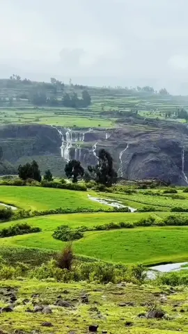 جمال الطبيعة###