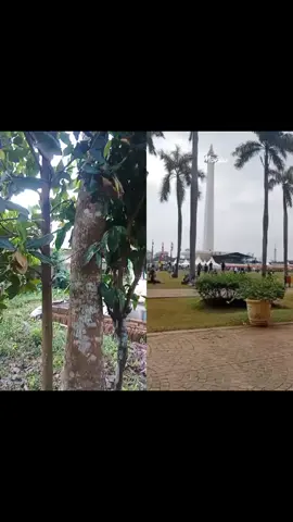 #ForYouPage #duet #JustForEntertainmen 