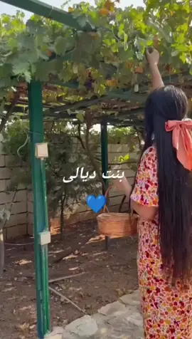 #❥ـــــــــــــــہـ٨ـہـــہ♡ـ٨ـ♡ـ٨ـہ♡ #🌹 #🦋 