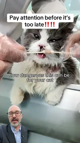 You can prevent serious problems ‼️‼️ #pets #pethacks #petwellness #pethealthtips #cat 