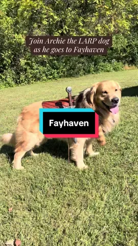 Join Archie the LARP dog as he goes to Fayhaven larp #medievaltiktok #renfaire #renaissance #cosplay #renaissance 