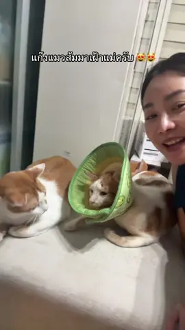 มีใครคิดถึงเด็กบ้างคะ ❤️ ##ถุงทองลูกพี่กิ๊บพี่โอ๊ต##มีบุญลูกพี่กิ๊บพี่โอ๊ต@@Oat Kexi