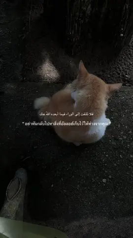 #foryou #เธรดอิสลาม 