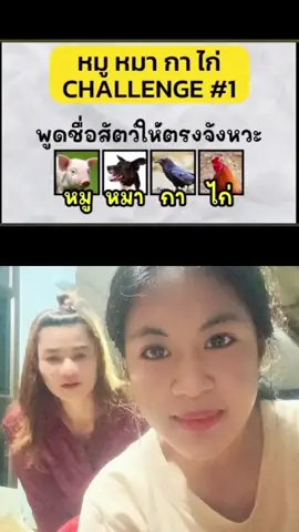 #ดูเอ็ทกับ @Thara รู้จักปะ #หมูหมากาไก่ 