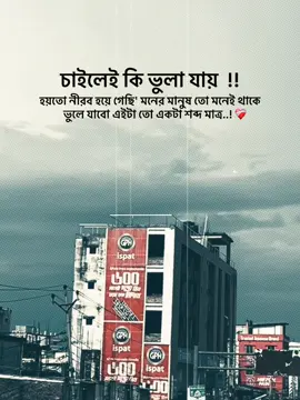 চাইলেই কি ভুলা যায় হয়তো নীরব হয়ে গেছি মনের মানুষ তো মনেই থাকে ভুলে যাবো এইটা তো একটা শব্দ মাত্র..! ❤️‍🩹#unfrezzmyaccount #typ #fouryou #1millionaudition #foryoupage @TikTok @TikTok Bangladesh @For You @everyone 