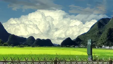 Where are you, and what are you thinking about?