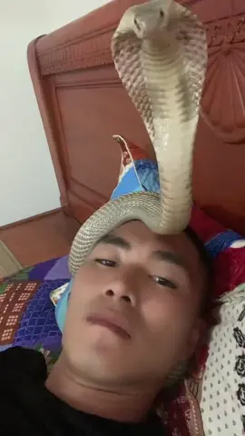 #kỷ niệm xưa 
