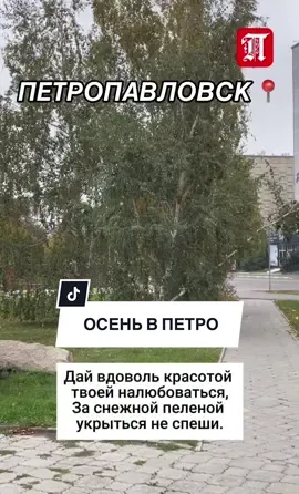 Ах, Осень! Не спеши! Дай вдоволь надышаться Мне воздухом твоим, бальзамом для души, Дай вдоволь красотой твоей налюбоваться, За снежной пеленой укрыться не спеши. Ах, Осень! Не спеши! Уйти всегда успеешь, Торопишься опять тепло своё отдать, Останься, я прошу, поверь, не пожалеешь! Ведь целый год тебя опять придётся ждать. Ах, Осень! Не спеши! За каждым листопадом Скрывается печаль и грустные дожди, Ты только что пришла, не уходи, не надо, Побудь ещё чуть-чуть, немножко подожди! ✨ Автор: Ирина Расшивалова #петропавловск #осень #ско 
