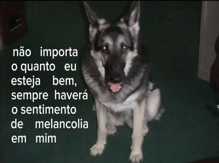#melancholy #foryouuuuuuuuuuuuuuuuuuuuuuuuuu #real #foryoupage #foryou 