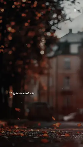 Vậy hoá ra tình này là giả dối… #tramnhachay_0203  #Bkmuzic #teamteddy  #teddyentertainment 