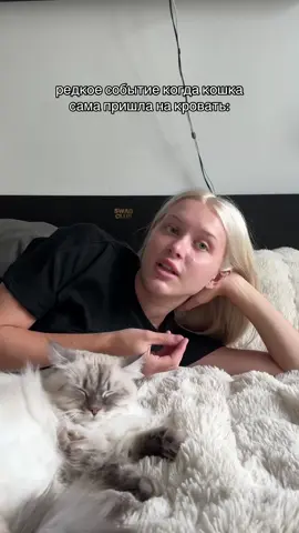 я все еще не шевелюсь 