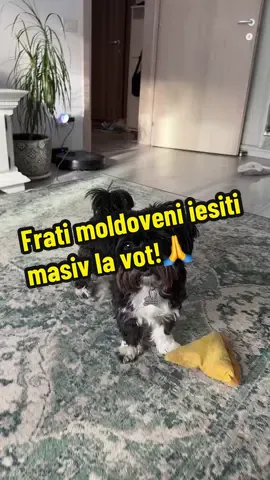 #republicamoldova🇲🇩 #alegeriparlamentare 