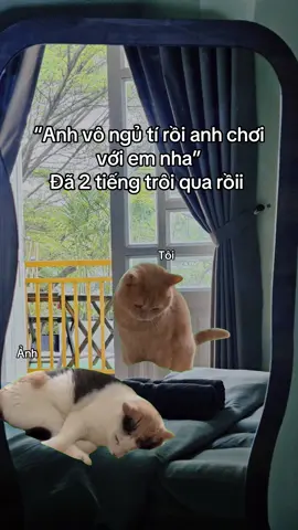 Là chơi dữ chưa ??? #nhacocay #homestaysaigon #staycation #homestaythuduc #homestaynhacocay 