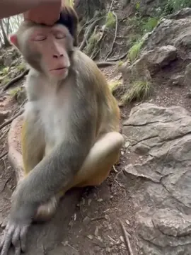 Ts12 Tình huống hài hước #trending #fyp #xuhuong #ts12 #haihuoc 