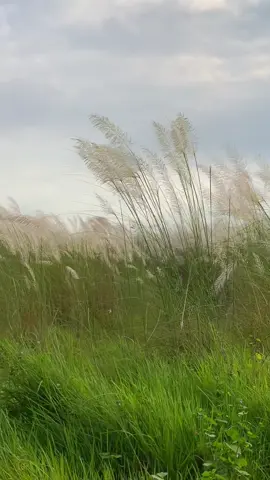 যাকে আপনি বেশি প্রাধান্য দিবেন